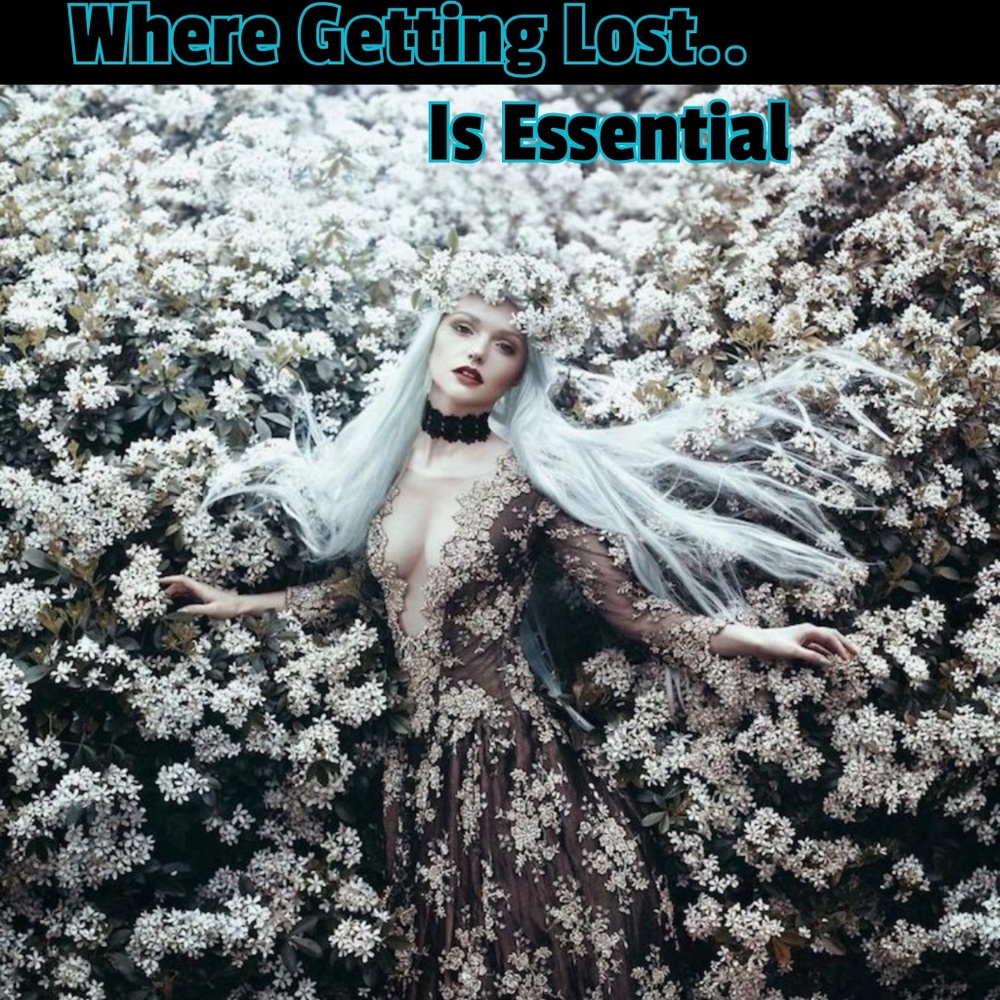 Come Get Lost View 2